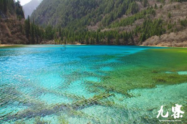 奥莉的夏威夷之旅